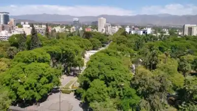 Mendoza descentraliza el arbolado: los municipios toman el control y la Provincia fija las reglas