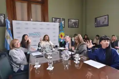 ¿Mujeres en las obras? El proyecto que podría cambiar la construcción bonaerense