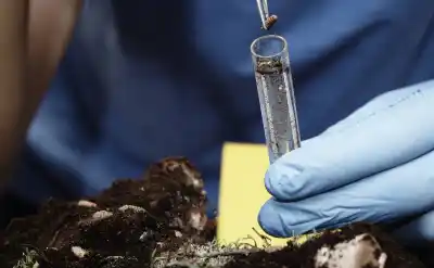 El hallazgo en Jujuy que sorprendió a la ciencia: descubren dos nuevas especies de chinches