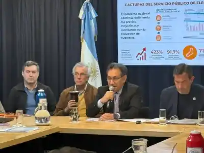 Energía de Misiones prepara un desembolso millonario: ¿qué obras llegan a la provincia?