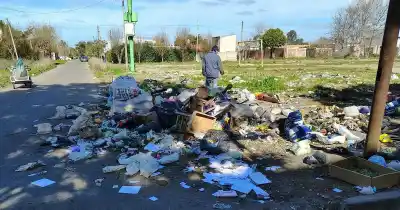Basurales y ratas gigantes en la zona sur de La Plata: los vecinos piden acción urgente