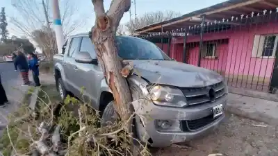Estaba esperando el colectivo y un conductor alcoholizado la atropelló: murió tras 36 horas de agonía