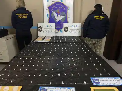 Cayó un búnker de cocaína en Villa Tranquila y una mujer de 47 años quedó presa