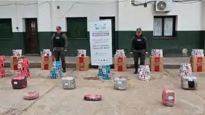 El cargamento que escondían: hallaron droga y cigarrillos ilegales en encomiendas en Libertador