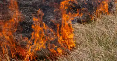 Alerta naranja en Salta: el riesgo de incendios forestales se dispara y piden máxima cautela