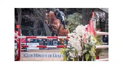 El Jockey Club de Fisherton será el epicentro ecuestre de los Juegos Suramericanos 2026