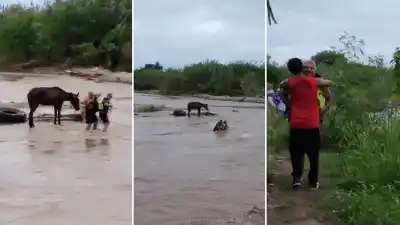 Rescate extremo en el Río Salí: la arriesgada operación para salvar a un hombre y su caballo