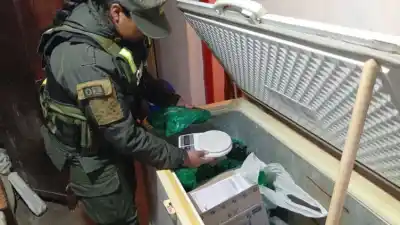 Golpe al acopio de hojas de coca en Catamarca: el insólito escondite que descubrieron