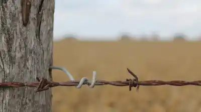 ¿Campos bajo ataque? El proyecto que busca penas de hasta 5 años para el vandalismo rural