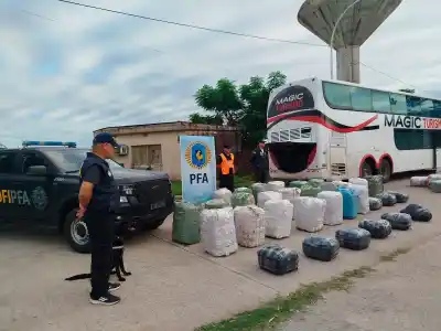 Interceptan un micro en Amamá: La carga oculta que viajaba con turistas