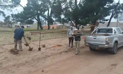 La Plaza Federico Bompadre de Catriló se renueva: ¿qué especies y equipamiento sumará?
