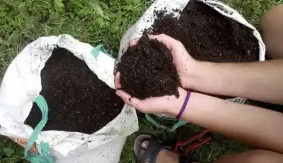 Lleve sus ecobotellas y llévese compost: el plan de Villa Giardino que premia el reciclaje