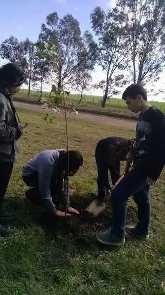 Tanti se viste de verde: así arrancó la Semana del Árbol y qué actividades habrá