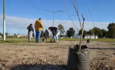 Semana del Árbol en Rawson: arrancó con una plantación y promete más actividades