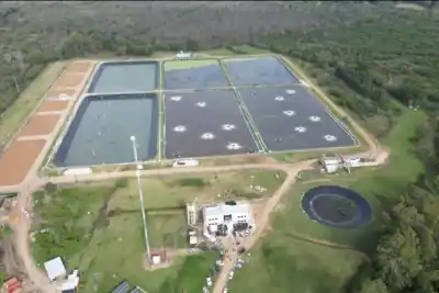 Escándalo ambiental en Gualeguaychú: clausuran planta de efluentes y citan a indagatoria a directivos
