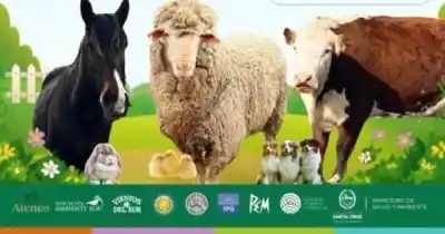 Primera Expo Campo Infantil en Río Gallegos: animales, juegos y una tarde distinta para los chicos