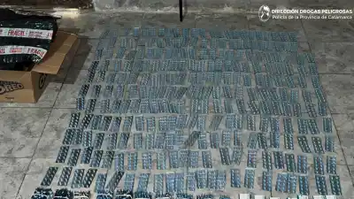 Secuestraron en la Terminal un cargamento de ansiolíticos: la detenida tenía 7.600 pastillas