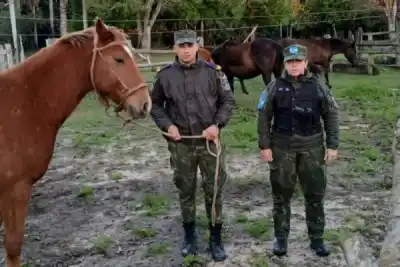 El hallazgo en una isla que resolvió el misterio de los caballos robados en Alvear