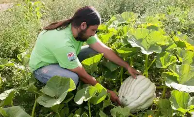 ¿Querés sumarte a la siembra de zapallos? Las Perdices te espera este jueves