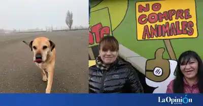 El perro que esperó tres años en un corralón municipal por fin tiene familia