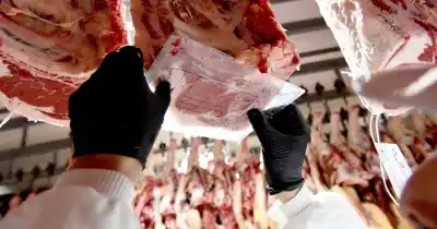 El campo celebra: las exportaciones de carne vacuna ya generan 41,8% más de divisas