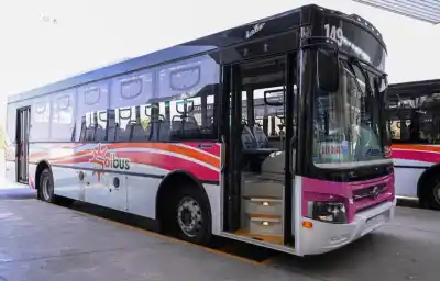 Cambios en el transporte: vuelven los colectivos a Rivadavia y suman una app para seguir las unidades en vivo