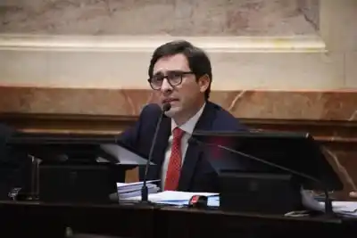 Goerling apuesta a un frente opositor con La Libertad Avanza para gobernar Misiones en 2027