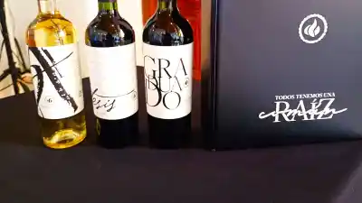 De San Juan al mundo: la trilogía de vinos que cuenta la historia universitaria de la UCCuyo