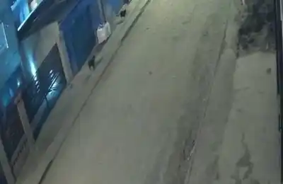 El video que estremece a Comodoro: ataque a una joven en plena calle y la advertencia que corre por redes