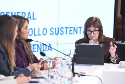 La reforma de Salud Mental que impulsa Bullrich: internaciones, consumo problemático y el nuevo rol de las provincias