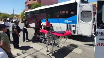 El colectivero que pasó tres veces por encima de una mujer no irá a juicio: las duras condiciones que deberá cumplir
