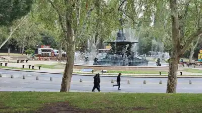Una rama gigante cayó en el Parque San Martín y el Gobierno de Mendoza tuvo que pagar una fuerte suma