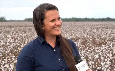Una agrónoma chaqueña revela el secreto detrás del cultivo que exige seis meses de trabajo