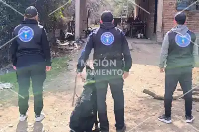 Nuevo golpe al narco en Carpintería: secuestran marihuana por más de $8 millones