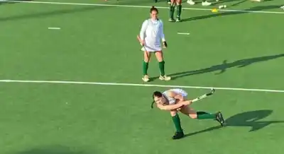 Inversión millonaria en deporte: Bernardo de Irigoyen licita césped sintético y natural para sus canchas