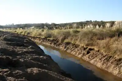 El viento que define a San Luis: ¿por qué el Chorrillero es mucho más que un fenómeno natural?