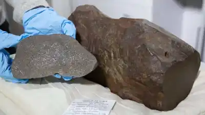 Buscaba oro, encontró una roca de 17 kilos y la guardó años: el increíble secreto que escondía