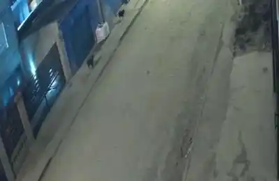 La siguió desde el colectivo y la atacó: la escalofriante secuencia que captó una cámara en Comodoro