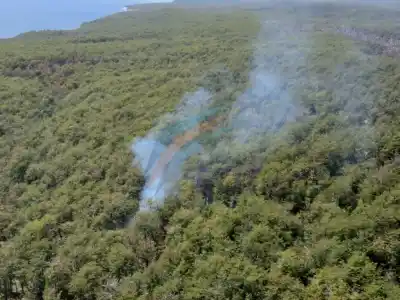 Prendió fuego en un lugar prohibido y ahora debe pagar una multa millonaria