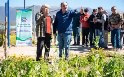 El plan de Saadi que convierte terrenos baldíos en huertas terapéuticas