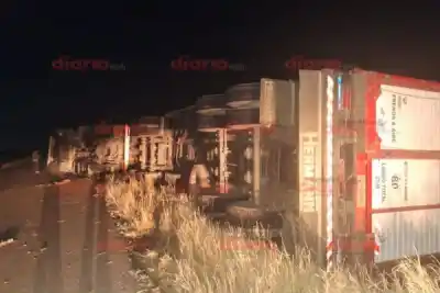 Volcó un camión con 90 novillos en la Ruta 21 y el conductor contó qué intentó esquivar