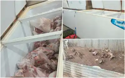 Golpe al comercio ilegal: desmantelan frigorífico clandestino en Monte Nievas y la carne ya está en alerta sanitaria