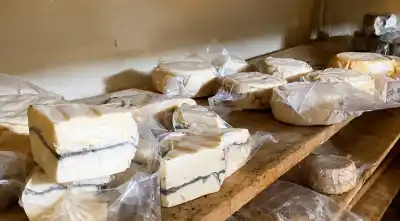 Productores del Valle de Lerma: llegan talleres gratuitos de bio-preparados, quesos y más