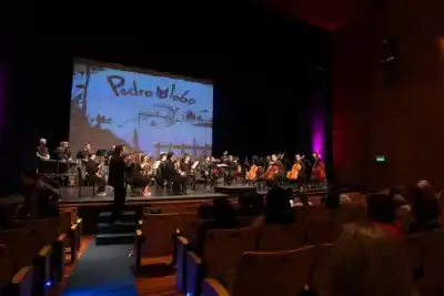 Pedro y el lobo: la música que hace hablar a los instrumentos llega a las escuelas de Misiones