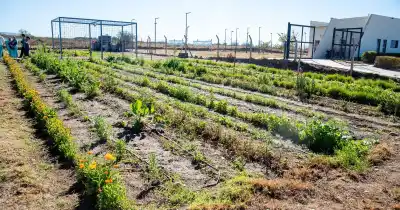 Adultos mayores de Catamarca encontraron en la tierra una terapia que transforma vidas