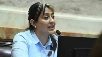 Pico Truncado: jornada gratuita sobre discapacidad e inclusión con especialistas