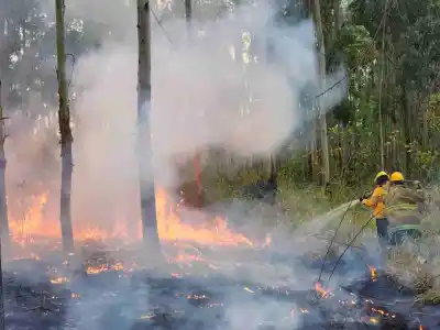 Los incendios forestales no le dan tregua a los Bomberos de Monteros