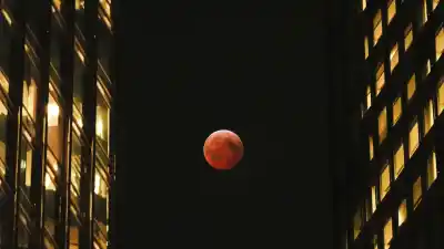 Eclipse Lunar en San Juan: el observatorio que lo transmitirá en vivo y el horario clave