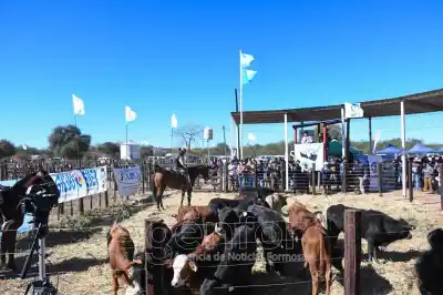 Fortín Soledad: llega una nueva Feria Ganadera Paippera con un objetivo que cambiará la vida de los productores