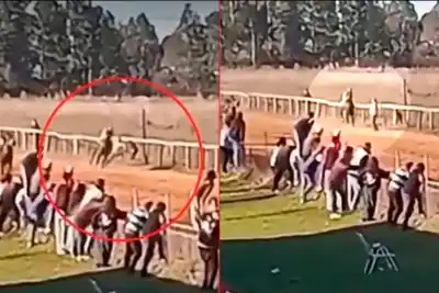 El festejo terminó en tragedia: un caballo lo atropelló en plena pista